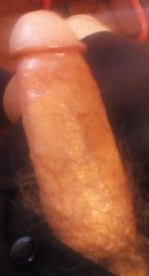 Erecto y brillante