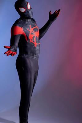メイトランド区 - これはスパイダーマンではありません