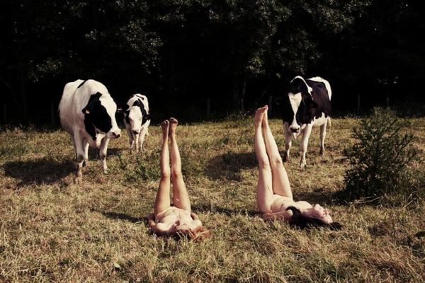 Artistic nudes, high quality erotica