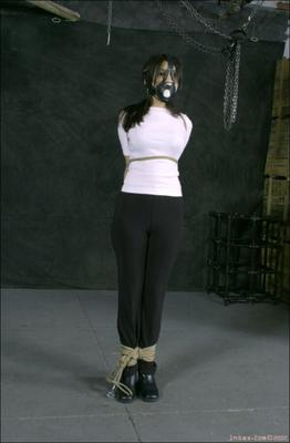 En$ex: Susie Violet Mila